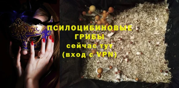ГАЛЛЮЦИНОГЕННЫЕ ГРИБЫ Алзамай