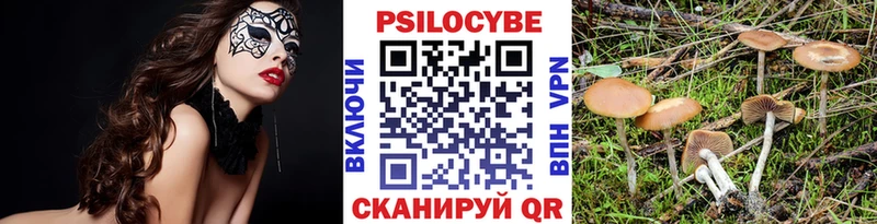 Галлюциногенные грибы MAGIC MUSHROOMS  Яблоновский 