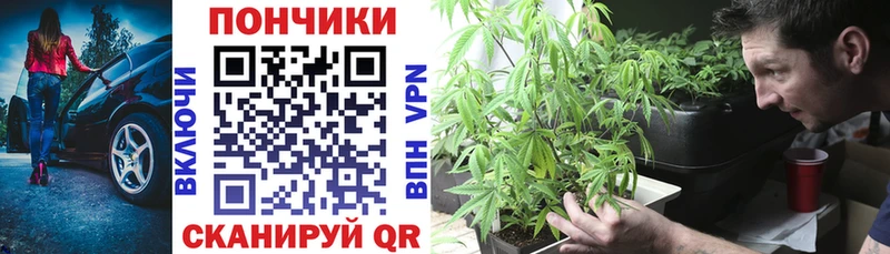 Бошки марихуана ГИДРОПОН  Яблоновский 